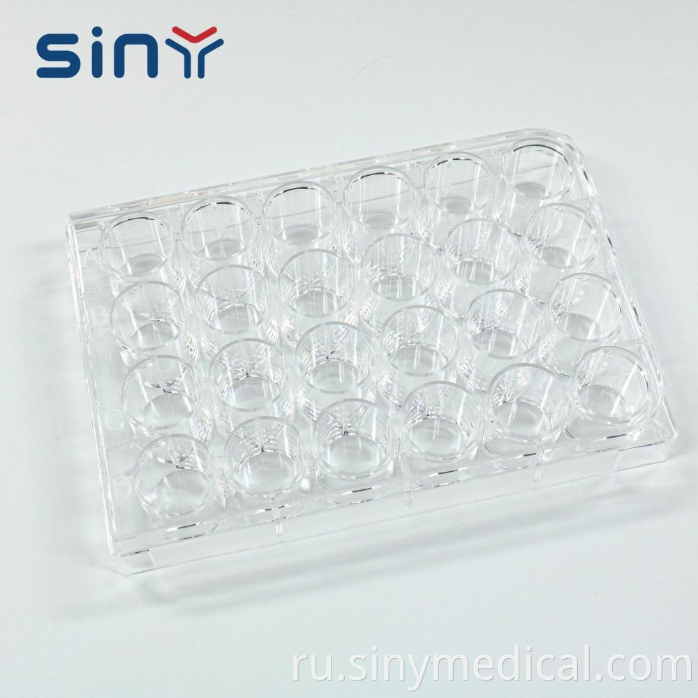 24 Well Cell Culture Plate